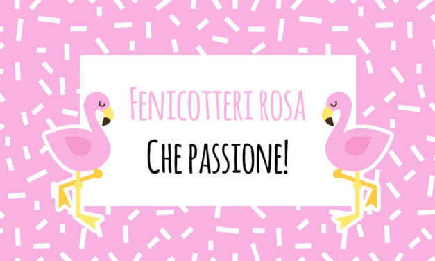 Fenicotteri rosa che passione!